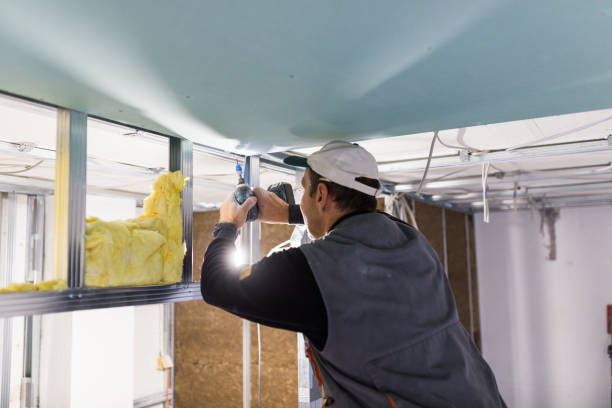 Best Eco-Friendly or Green Insulation Solutions  in Laurie, MO