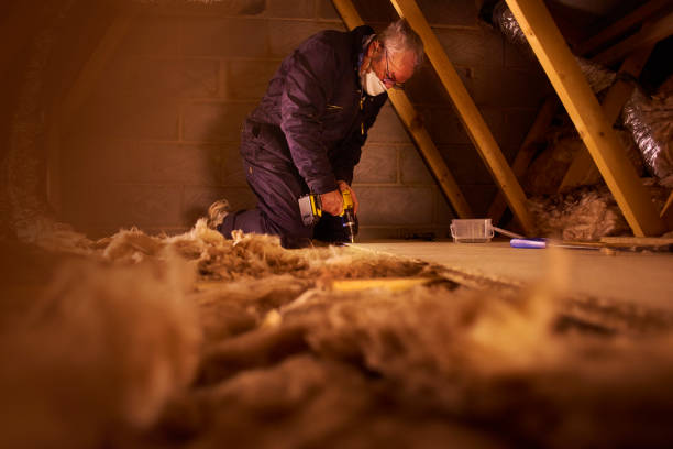 Best Commercial Insulation Services  in Laurie, MO